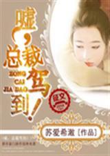 嘘总裁我要亲你了全文在线阅读