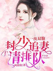 一夜双胞胎封少追妻请排队