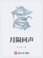 月陨回声