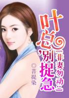 非妻勿动:叶总,别捉急