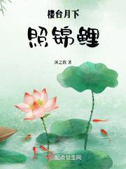 楼台月下照锦鲤