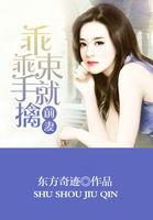 前妻:乖乖束手就擒