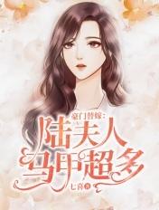 豪门替嫁:陆夫人马甲超多