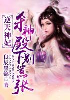 逆天神妃:杀神殿下别嚣张