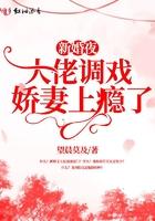 新婚夜,大佬调戏娇妻上瘾了