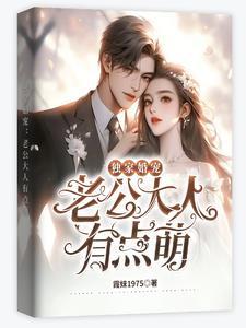 独家婚宠:老公大人有点萌