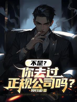 不是?你去过正规公司吗?