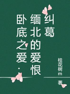 卧底之爱：缅北的爱恨纠葛