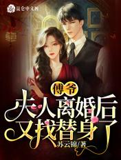 傅爷,夫人离婚后又找替身了