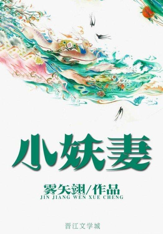 夫君是未来大魔王怎么办？[小妖妻]