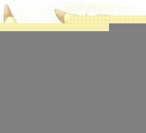 哥哥,请享用(双性)