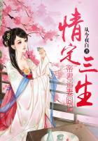 情定三生:帝君追妻囧记