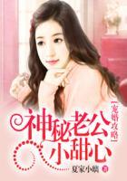 宠婚攻略:神秘老公小甜心